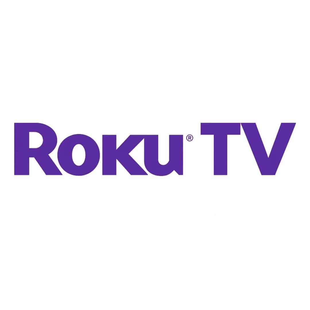 Roku TV Wall Mounting Service